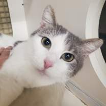 Thumbnail photo of Leah #1