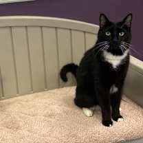 Thumbnail photo of Bobby #2