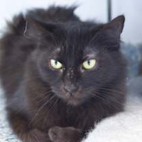 Thumbnail photo of Tessa #2