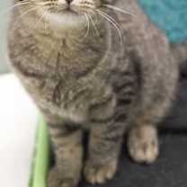 Thumbnail photo of Kimberly #2