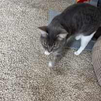 Thumbnail photo of Raymond  #3