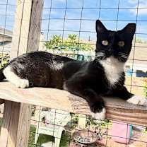 Thumbnail photo of Sally #3