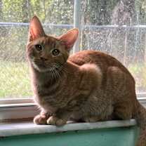 Thumbnail photo of Hamilton #1