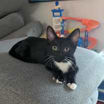 Thumbnail photo of Charles #3