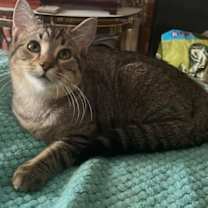 Thumbnail photo of Johnny #1