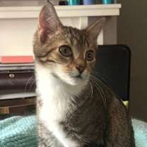 Thumbnail photo of Moira #2