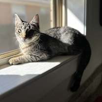 Thumbnail photo of Baby Girl #1