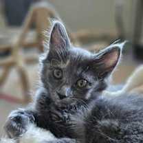 Thumbnail photo of Ashley #2