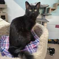 Thumbnail photo of Pepper3 #4