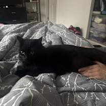 Thumbnail photo of Tara #2