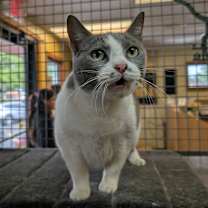 Thumbnail photo of Kimmie #3