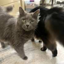 Thumbnail photo of PETER #4