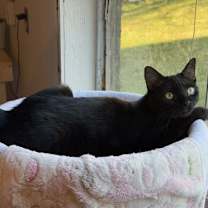 Thumbnail photo of Wisdom #2