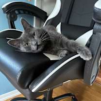 Thumbnail photo of Lucy Smiles #2