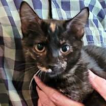 Thumbnail photo of Spot #2