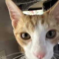 Thumbnail photo of Mel #2