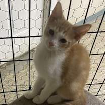 Thumbnail photo of Mel #3