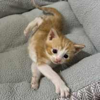 Thumbnail photo of Mel #4