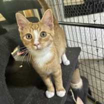 Thumbnail photo of Porter #1