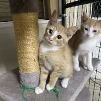 Thumbnail photo of Porter #3