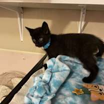 Thumbnail photo of Jingle #1