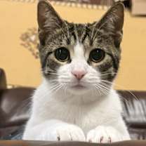 Thumbnail photo of Tia #4