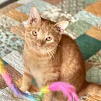 Thumbnail photo of Adam #1