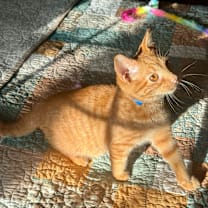 Thumbnail photo of Adam #3