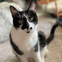 Thumbnail photo of Anthony #1