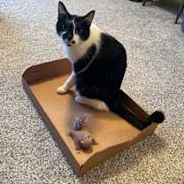 Thumbnail photo of Anthony #4