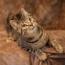 Thumbnail photo of Wilson Osberg #3