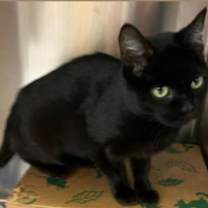 Thumbnail photo of Data #2