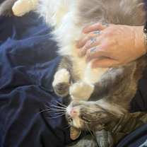 Thumbnail photo of Mama #1