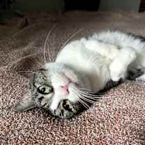 Thumbnail photo of Maxine #2