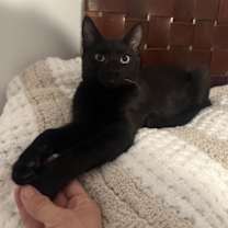 Thumbnail photo of Brandon #2