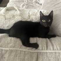 Thumbnail photo of Brandon #4