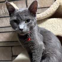 Thumbnail photo of Betty #1