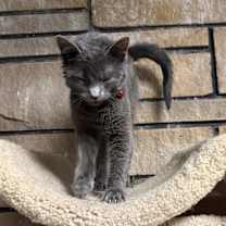 Thumbnail photo of Betty #2