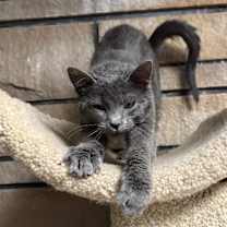 Thumbnail photo of Betty #3