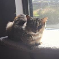 Thumbnail photo of Momma Eva #3