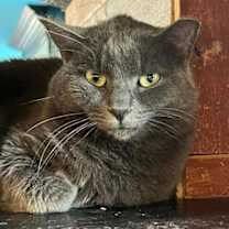 Thumbnail photo of Polly #1