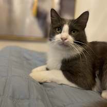 Thumbnail photo of Winnie #1