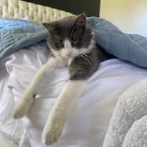 Thumbnail photo of Winnie #2