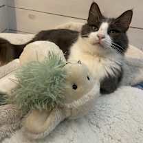 Thumbnail photo of Winnie #3