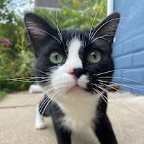 Thumbnail photo of Scrabble C66774 #1