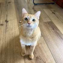 Thumbnail photo of SUNSHINE #1