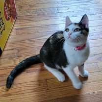 Thumbnail photo of Confetti #2