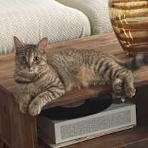 Thumbnail photo of Bubbles #4