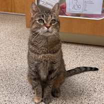 Thumbnail photo of Princess #1