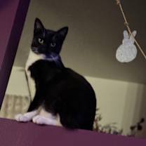 Thumbnail photo of Irving B #1